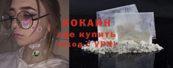 прущие крисы Арсеньев
