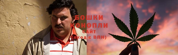 крисы Аркадак