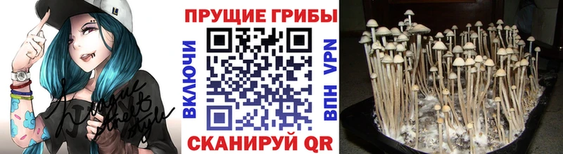 hydra ссылки  Ленинск  Галлюциногенные грибы ЛСД 